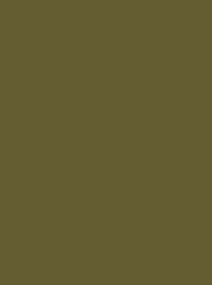 Classic 40 5000m Sage Green 1157