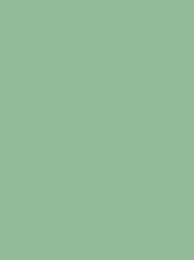 Classic 12 2000m Pale Green 1047