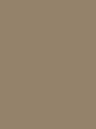 Polyneon 40 FR 2500m Taupe 933-1728