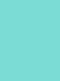 RheinGold Rayon 40 5000m Pale Aqua 4045