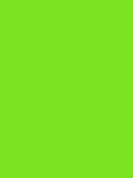 [924 1950] Polyneon 60 1500m Fluor Lime 1950