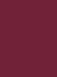 [V901-4035] RheinGold Rayon 40 5000m Maroon 4035